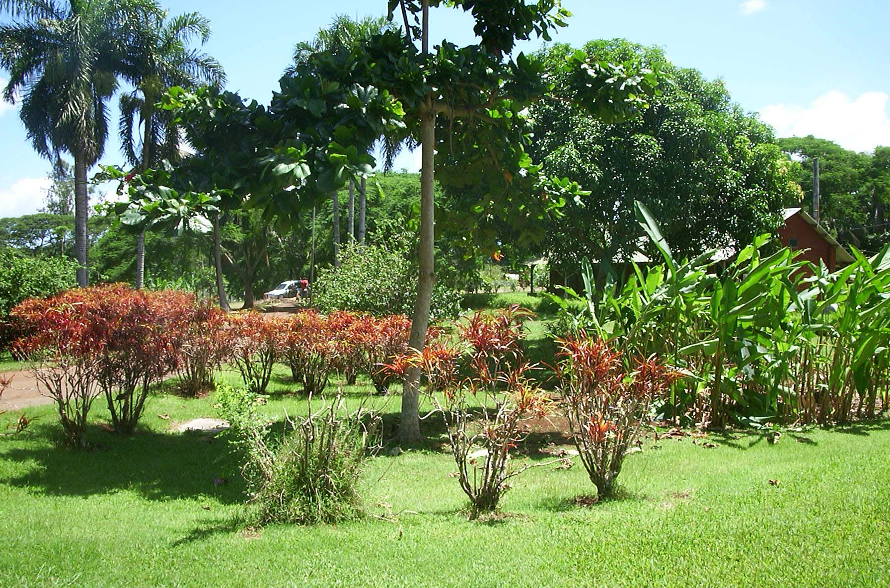 Lycée agricole de Coconi